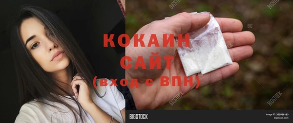 винт Богородицк