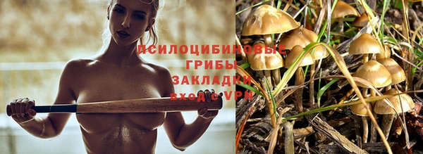 PSILOCYBIN Богородск