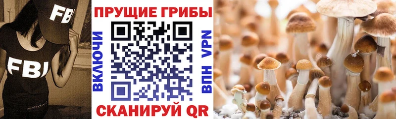 Галлюциногенные грибы мухоморы  Купить закладки  Воскресенск 